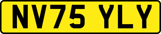 NV75YLY