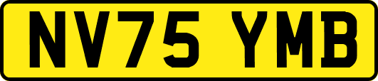 NV75YMB