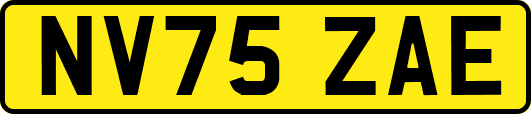 NV75ZAE