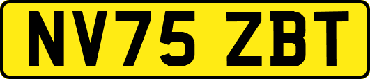 NV75ZBT