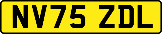 NV75ZDL