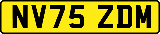 NV75ZDM
