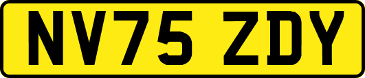NV75ZDY