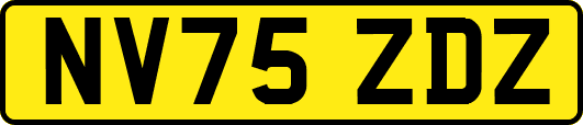 NV75ZDZ