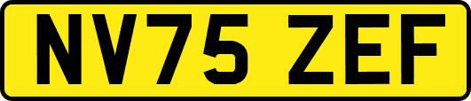 NV75ZEF