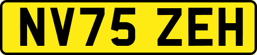 NV75ZEH