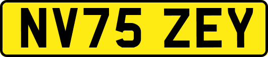 NV75ZEY