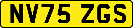 NV75ZGS