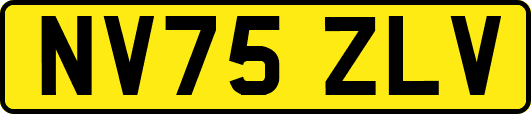 NV75ZLV