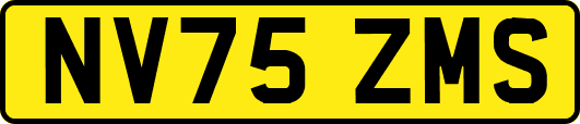 NV75ZMS
