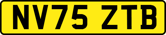 NV75ZTB