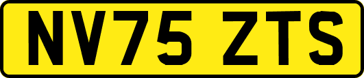NV75ZTS