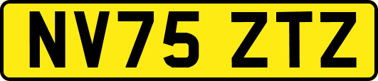 NV75ZTZ