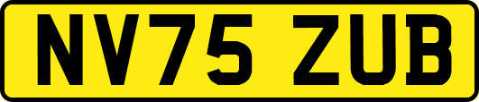 NV75ZUB