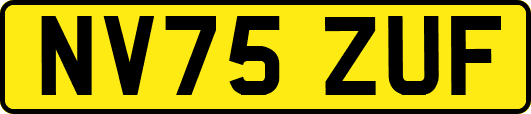 NV75ZUF