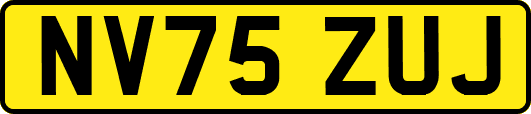NV75ZUJ