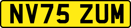 NV75ZUM