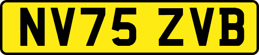 NV75ZVB