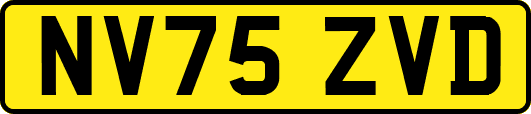NV75ZVD