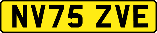 NV75ZVE