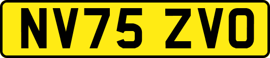 NV75ZVO