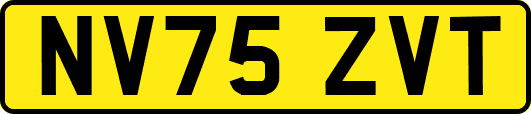 NV75ZVT