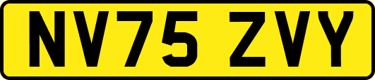 NV75ZVY