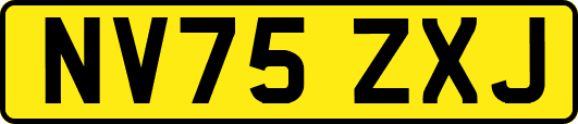 NV75ZXJ