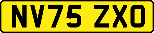 NV75ZXO