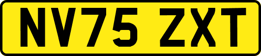 NV75ZXT