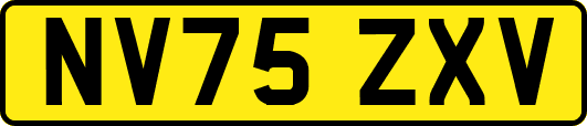 NV75ZXV