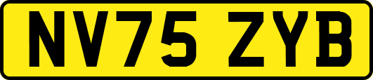 NV75ZYB