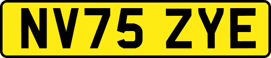NV75ZYE
