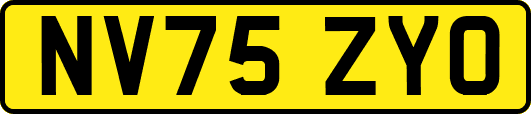 NV75ZYO