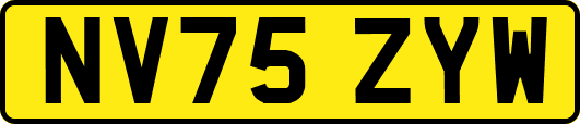 NV75ZYW