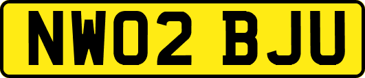 NW02BJU