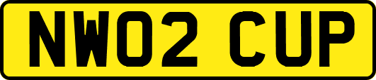 NW02CUP