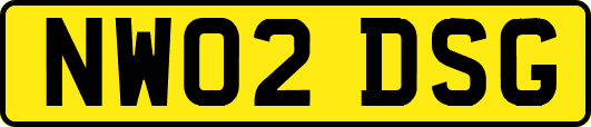 NW02DSG