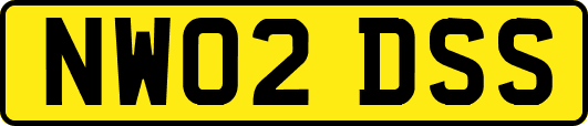 NW02DSS