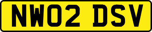 NW02DSV
