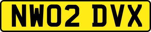 NW02DVX