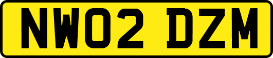 NW02DZM