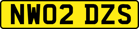 NW02DZS