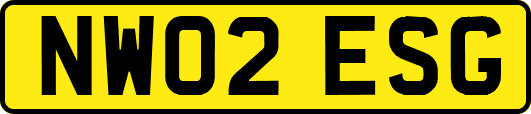 NW02ESG