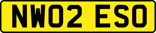 NW02ESO