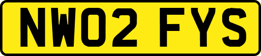 NW02FYS
