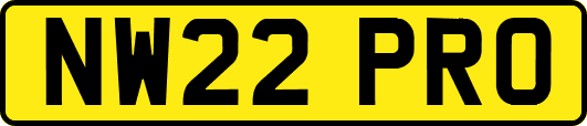 NW22PRO