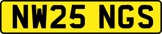 NW25NGS
