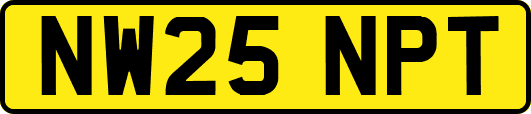 NW25NPT