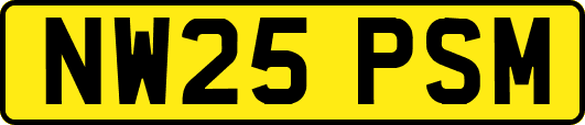 NW25PSM